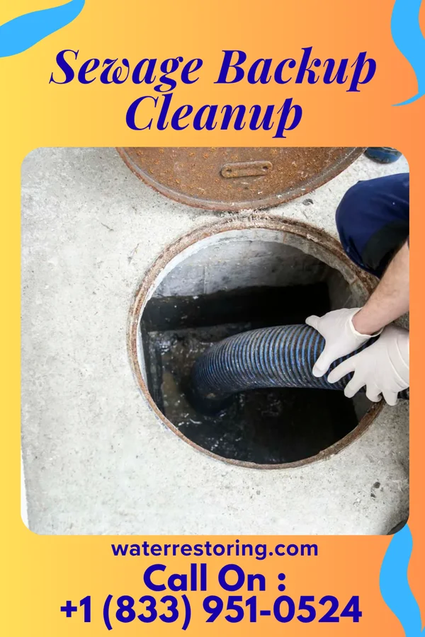 Sewage Backup Cleanup in St. Johns, MI